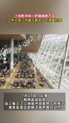 上海图书馆被曝一把躺椅数万元