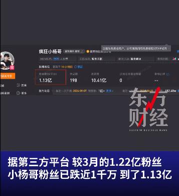 小杨哥今年掉粉近1000万 近30天日均掉粉近4万