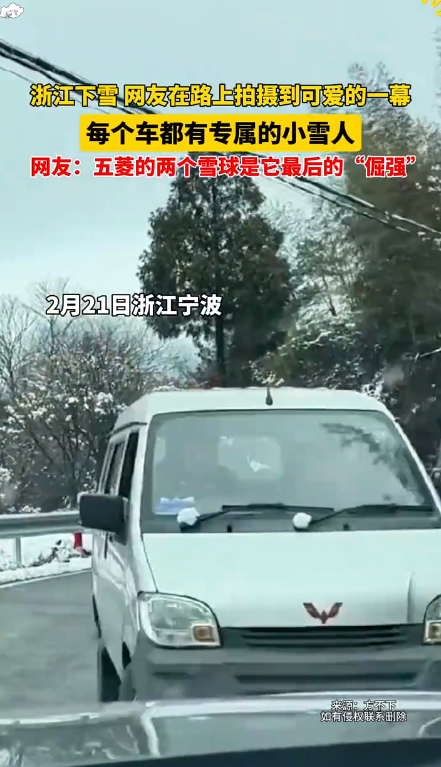 浙江人实现一户一雪人